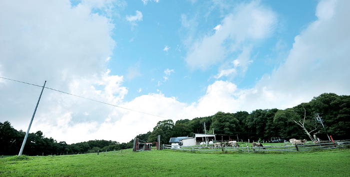 Yatsugatake Foothills Farm